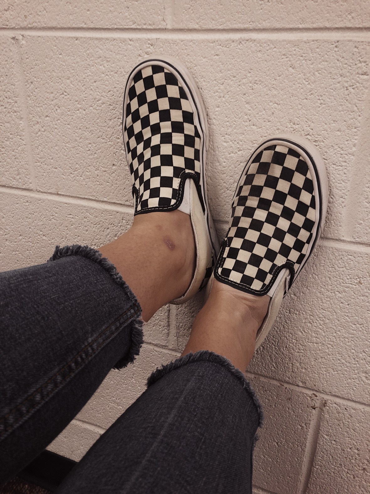 Processed with VSCO with dog1 preset